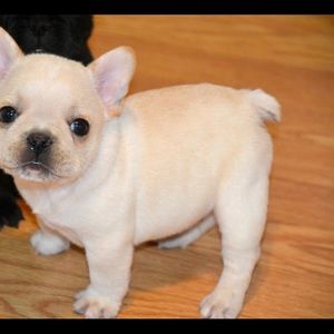 Meet your Posher, Haley